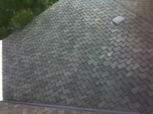 Presi roof moss removal 2