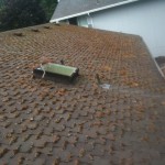 Presidential composition style roof cleaning in portland oregon from JNR