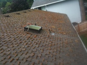Presi roof cleaning in portland 1