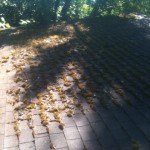 Roof cleaning company JNR doing work in Boring OR. Roof maintenance plan
