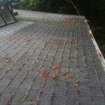 JNR Industries roof cleaning on weekends. Some good before and after photos of some Low PSI washing on roofs.