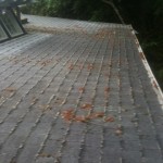 JNR Industries roof cleaning on weekends. Some good before and after photos of some Low PSI washing on roofs.