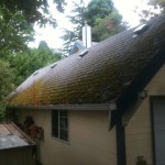 JNR Industries roof cleaning on weekends.  Some good before and after photos of some Low PSI washing on roofs.