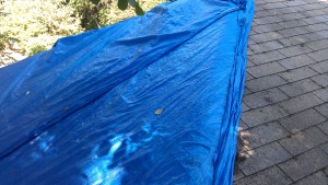Roof tarping tarp for leak repairs, temporary emergency fix done right. Emergency leak repair done right.