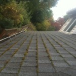 JNR Roof Cleaning's words of the day are Maintenance and Efficiency.