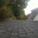 JNR Roof Cleaning's words of the day are Maintenance and Efficiency.
