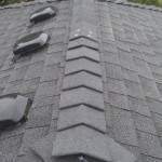 Roof repairs leak repairs done right.  Ridge cap repairs