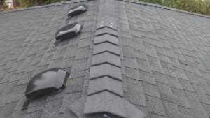 ridge repair roof repair 2