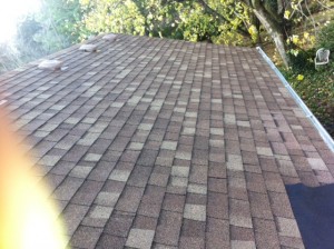 roof cleaning 2