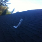 Steep roof cleaning in portland done right by JNR, please do the regular treatments annually.