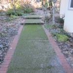 Get that moss and algae off so its not so slippery with pressure washing. Over 20 years experience in ground washing.
