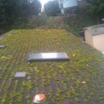 Before and after photos of a roof infestation. Moss on a roof is the first organism to break down the structure. Watch life after people.