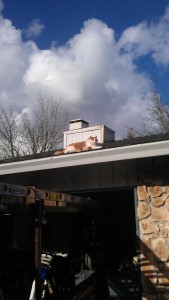 My cat on the roof drinkin out of the gutters. Clean the gutters out while your up there please lol.