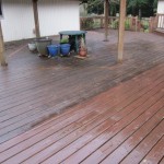 Get that moss and algae off so its not so slippery with pressure washing.  Over 20 years experience in ground washing.