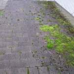 Heavy roof moss infestation done right by JNR for roof cleaning in portland or.