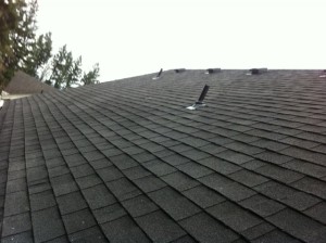 Roof Moss Removal And New Pipe Vents Dialed In By JNR. Clean roof and leak hazards fixed all in the same day