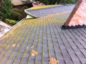 More JNR work, steep roofs done right for roof cleaning in Portlandia