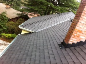 More JNR work, steep roofs done right for roof cleaning in Portlandia