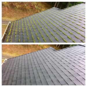 Portland Oregon Roof Moss Removal & Gutter Cleaning By JNR