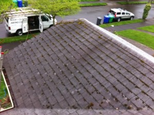 Moss and Algae removal, get your roof looking brand new again. Job of the day