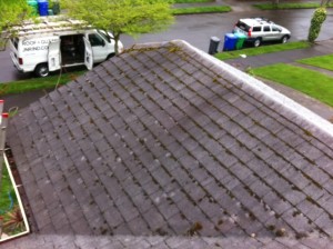 Moss and Algae removal, get your roof looking brand new again. Job of the day