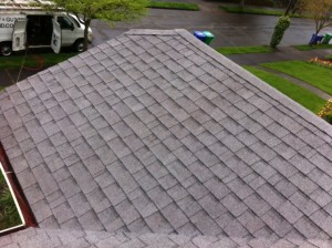 Moss and Algae removal, get your roof looking brand new again. Job of the day