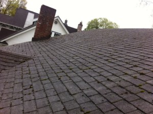 Moss and Algae removal, get your roof looking brand new again.  Job of the day