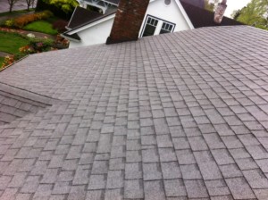 Moss and Algae removal, get your roof looking brand new again.  Job of the day