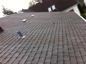 Moss and Algae removal, get your roof looking brand new again.  Job of the day