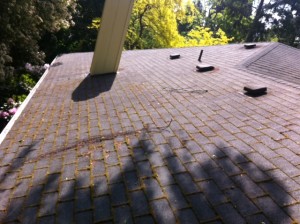 Roof brushing on an old roof, non pressure washing method for roof cleaning in the NW Portland OR