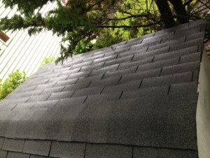 Roof maintenance on a shed. Epic cleaning.