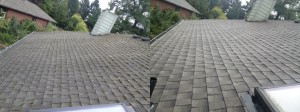 Roof cleaning in SW Portland photos of the day, gutter guard installation.