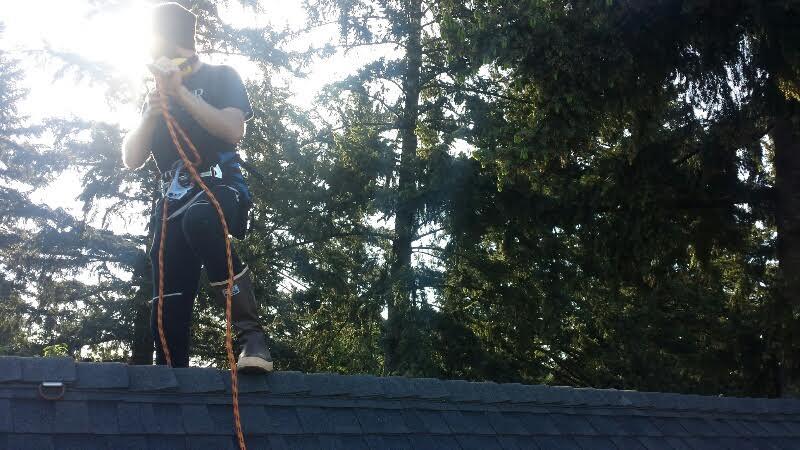 Roof inspection when we need to dig a little deeper then just doing an inspection or bid from the ground.