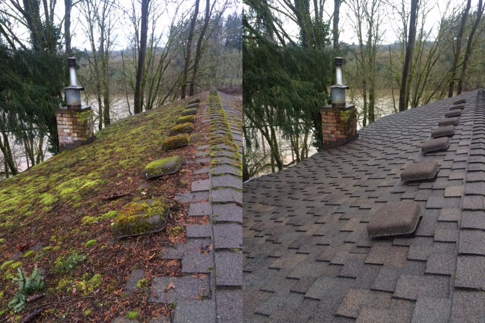 A great before and after picture from this winter.