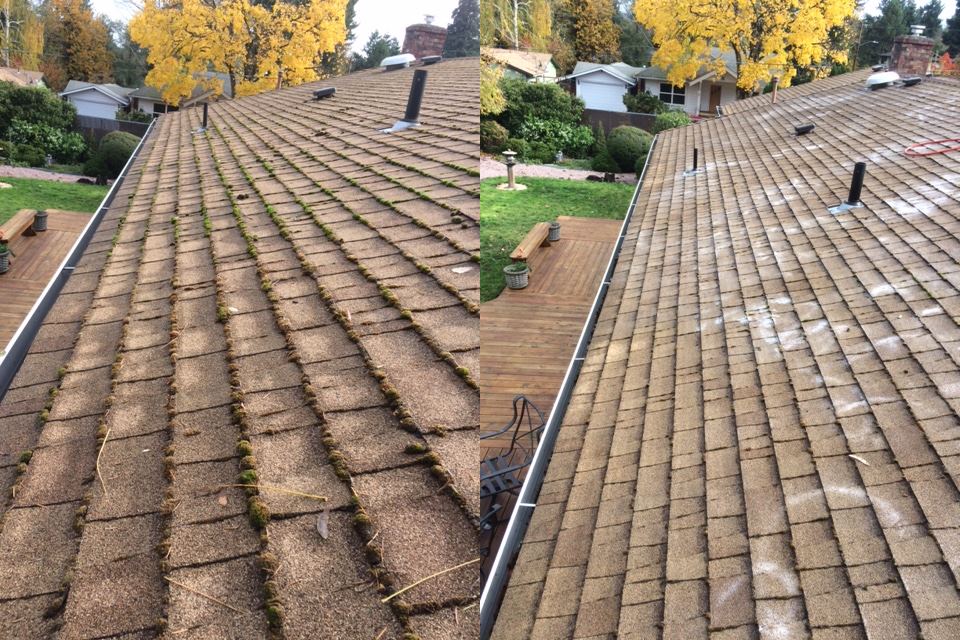 No pressure, no touch, gentle practice roof cleaning and maintenance plan.