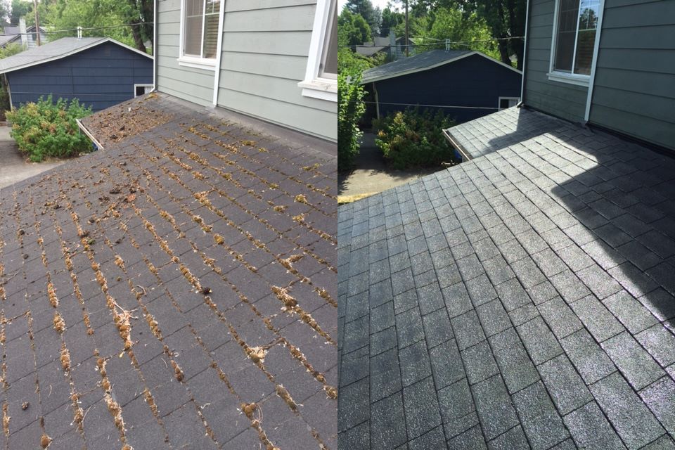 Facts and info about how to remove roof moss and how to choose the right company to do it.