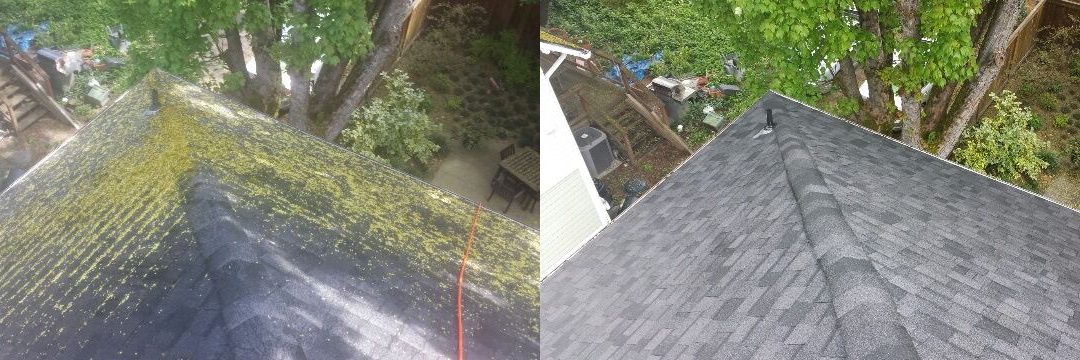 Some good info on proper maintenance and some excerpts by some real home owners.