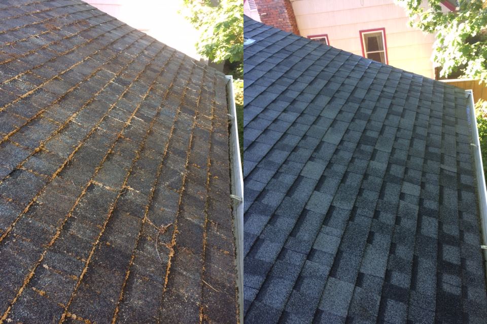 Why it’s important to keep your roof clean