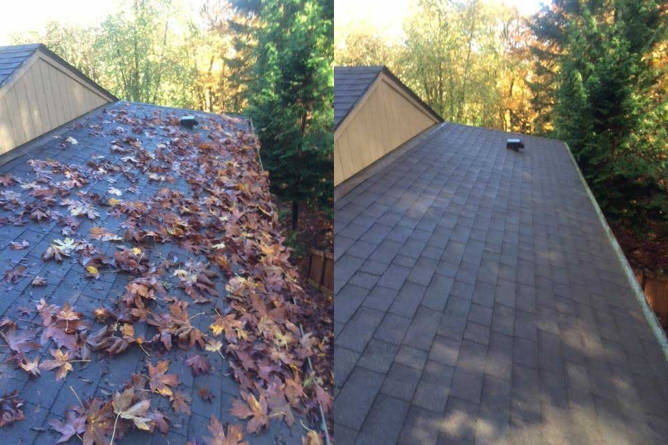 Pre Work Roof Check with Estimate and Photos Included