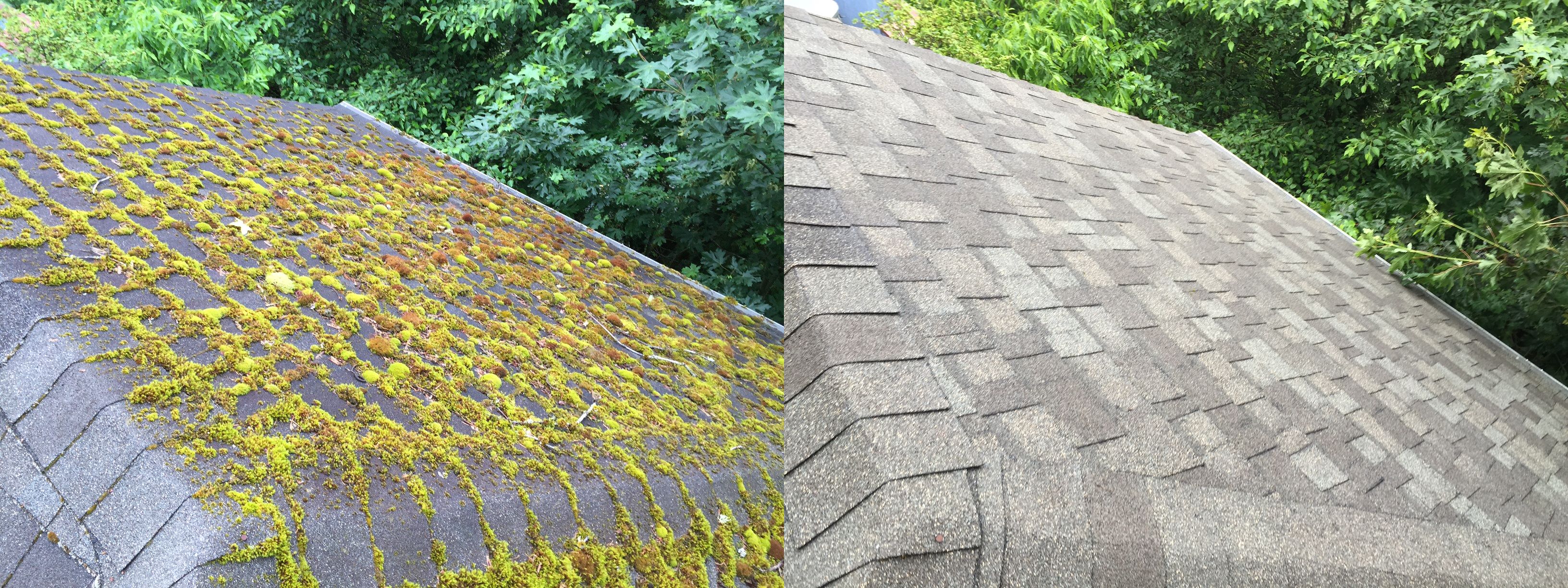 roof cleaning clackamas